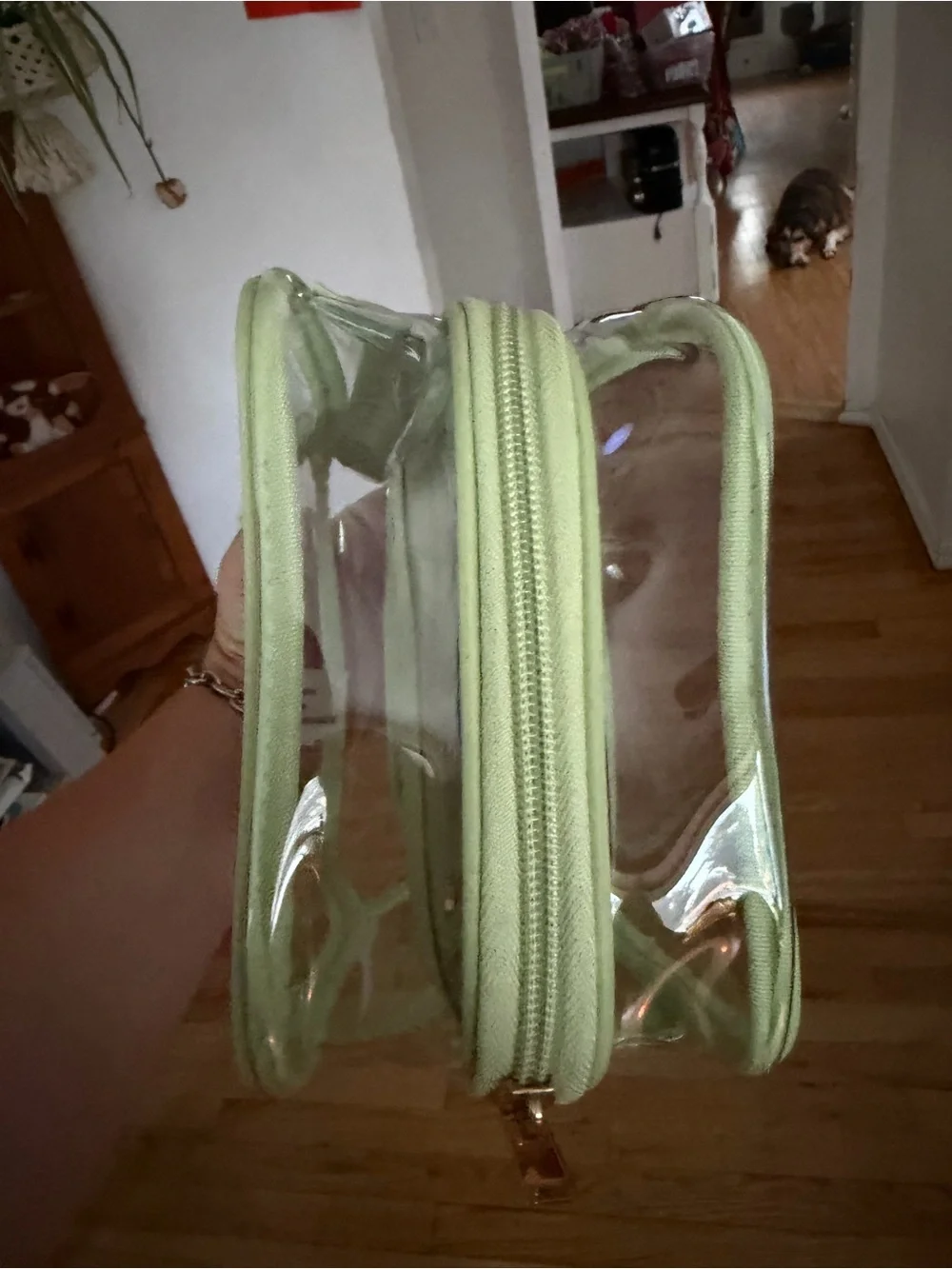 Target Clear Zipper Pouch Set in Light Green
